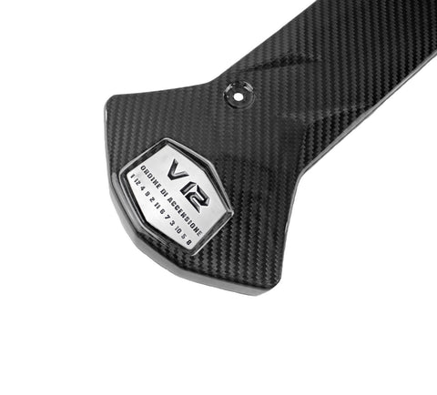 Carbon Fiber Center Intake PanelLamborghini Aventador