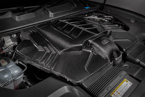 Eventuri RSQ8 / Cayenne Turbo / Urus Carbon Intake System